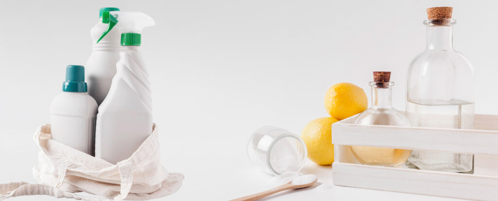 protect hormonal health from toxin